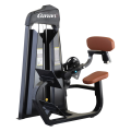 Strength Equipment Back Extension Machine