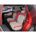 Neue Energie Hycan Z03 EV 5 Sitze SUV Auto