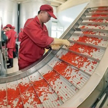 High Quality Strawberry Pulp Processing Machine Production Line for Industrial Use