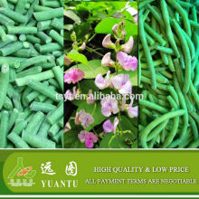 Grade A Frozen Green Beans Can be Mixed In Frozen Mixed Vegetables