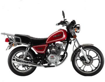 FEKON 125cc Gasoline GS Series Adult Motorcycle