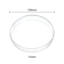 Plástico de plástico plato de petri 150 mm x 15 mm