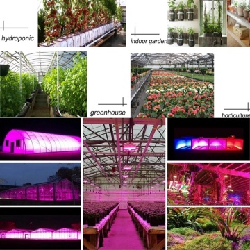 Full Spectrum COB Grow Light Dễ dàng cài đặt