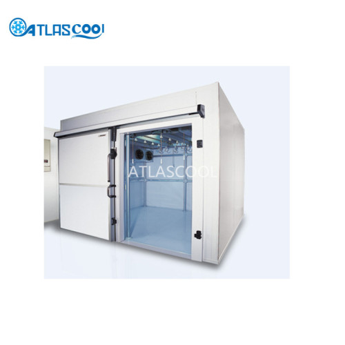 Blast Freezer For Fish And Chicken