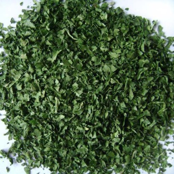 Dehydrated Celery Leaves