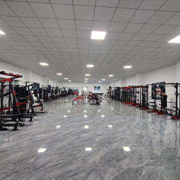 Factory Wholesale Commercial Gym Bench Press Adjustable Dumbbell Training Bench