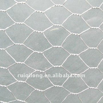 chiken wire mesh