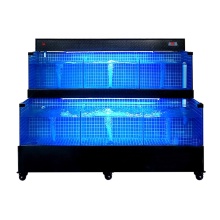 Live Fresh Fish Tank: Restaurant Supermarket Wholesale Seafood Display Case