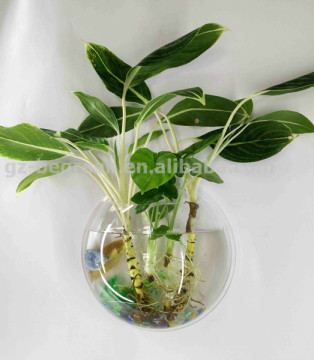 Shipping From China Acrylic Modern Fish Bowl On Wall, Hanging Fish Bowls