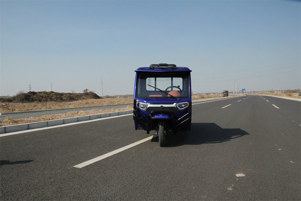 Three-wheeled Electric Bike