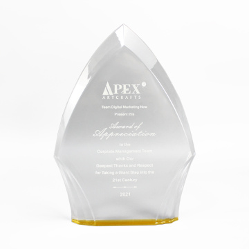 APEX Encouragement Gift Acrylic Award Plate Manufacturing