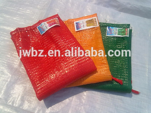 China agriculture net bag for onions