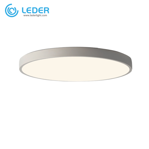 LEDER Flush Single Ceiling Lights