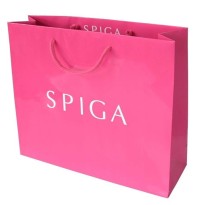 Paper Shopping Bag/Gift Bag/Advertisement Bag