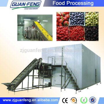 individual quick freezing equipment iqf tunnel freezer