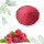 Best Natural Raspberry Extract/Fructus Rubi P.E Fructus Rubi