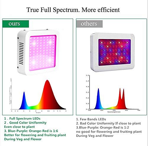 The best led grow lights for herbs