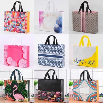 Fashional Reusable Laminated Non-Woven Shopping Bag