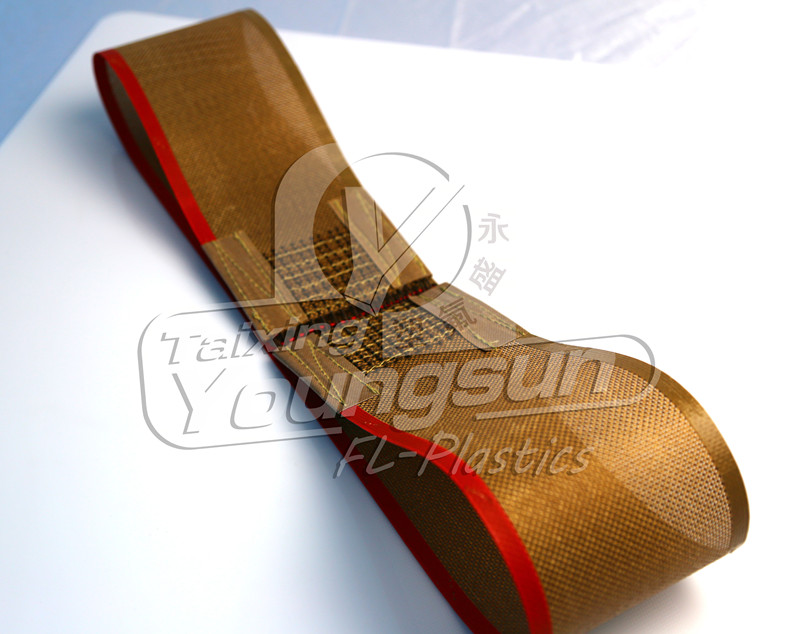 Non-stick PTFE mesh belt for drying plant