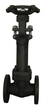 Forged Bellows Gate Valve