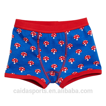 2016 boy underwear & boy boxer briefs & kids' underwear