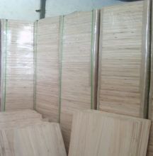 balsa wood of paulownia