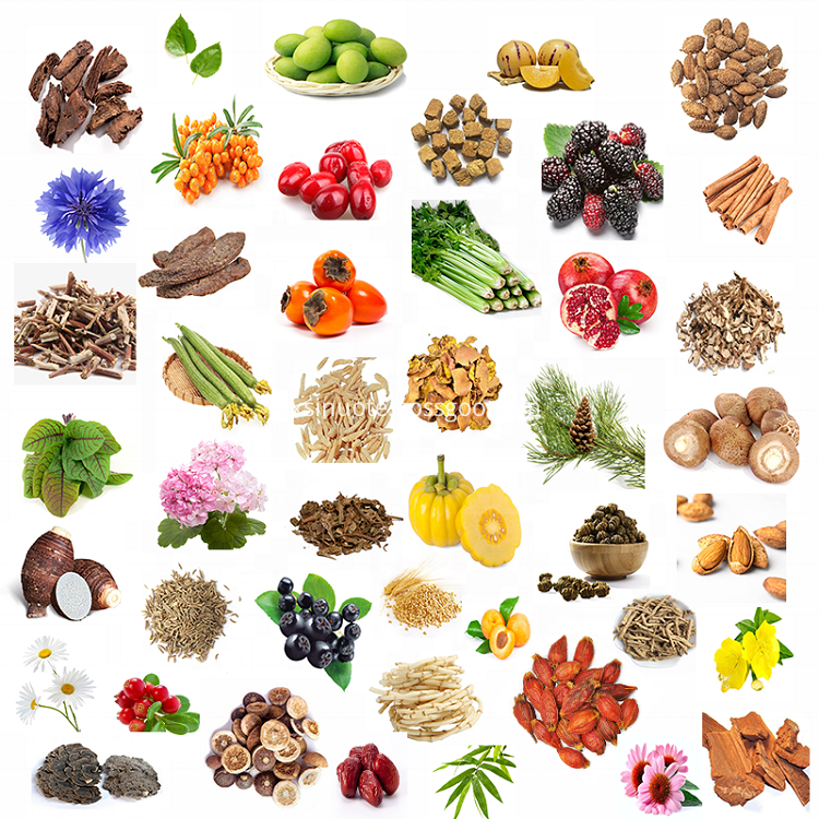 Extracto de planta Plant Extract