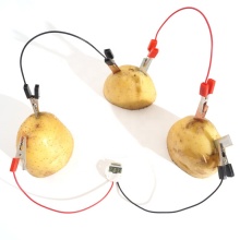 2019 Science Educational Fruit Power Clock DIY Electronic Kit