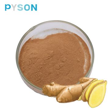 Organic Ginger Root Extract Ginger Extract Powder