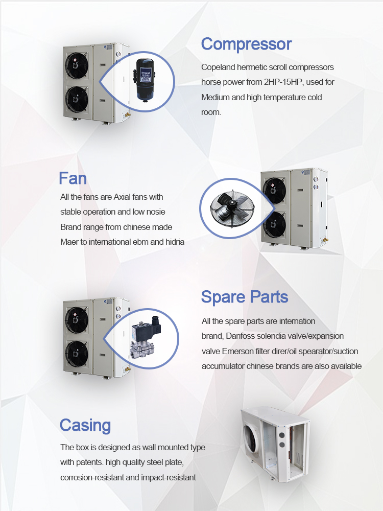 Outdoor Refrigeration r407c air cooled frozen condensing unitFor Cold Room