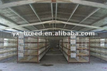 chicken brooder cage