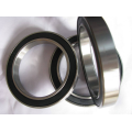 Single Row Deep Groove Ball Bearing (61876)