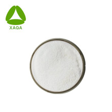 Everolimus Powder Cas No 159351-69-6