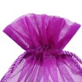 Personalized tassels organza bag with organza fabric