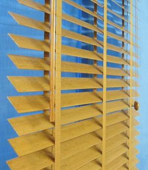 bamboo venetion blinds