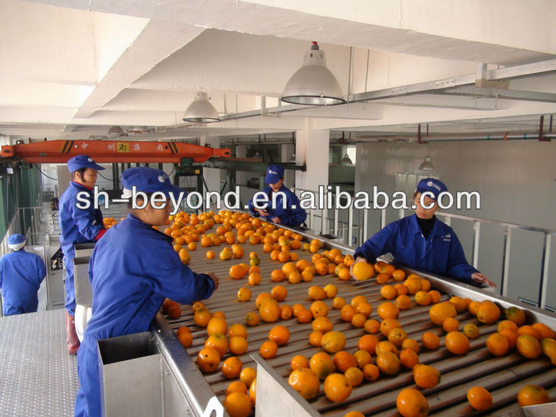 5t/H Citrus Juice Production Line