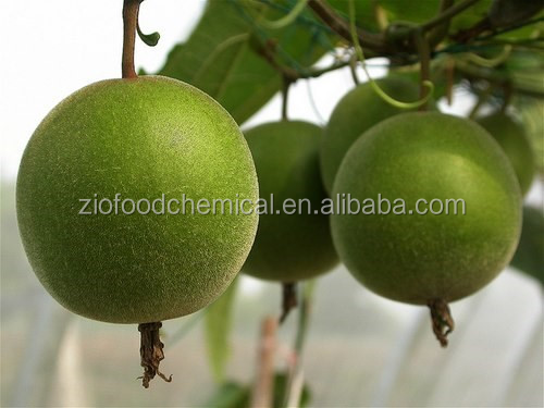 Factory supply high quality Natural Luo han guo extract / Monk fruit extract powder with Mogrosides 30%