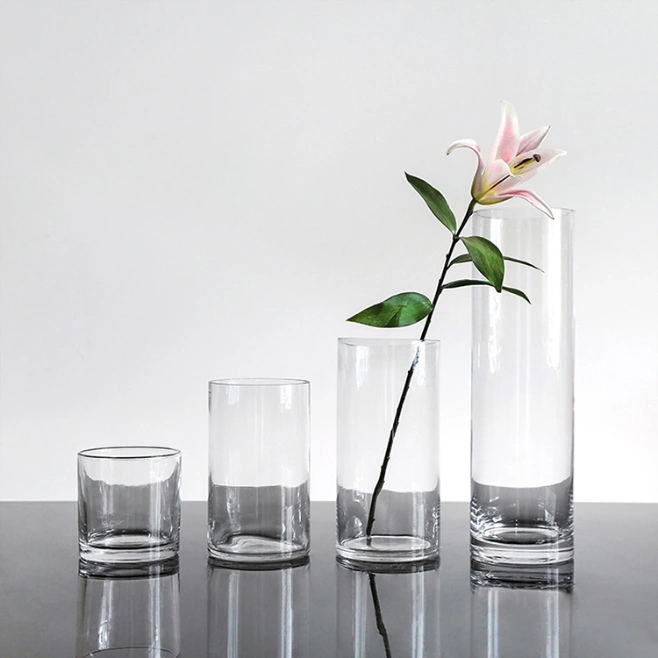 Manufacturers Wholesale Household Ordinary Glass Vases in Various Styles