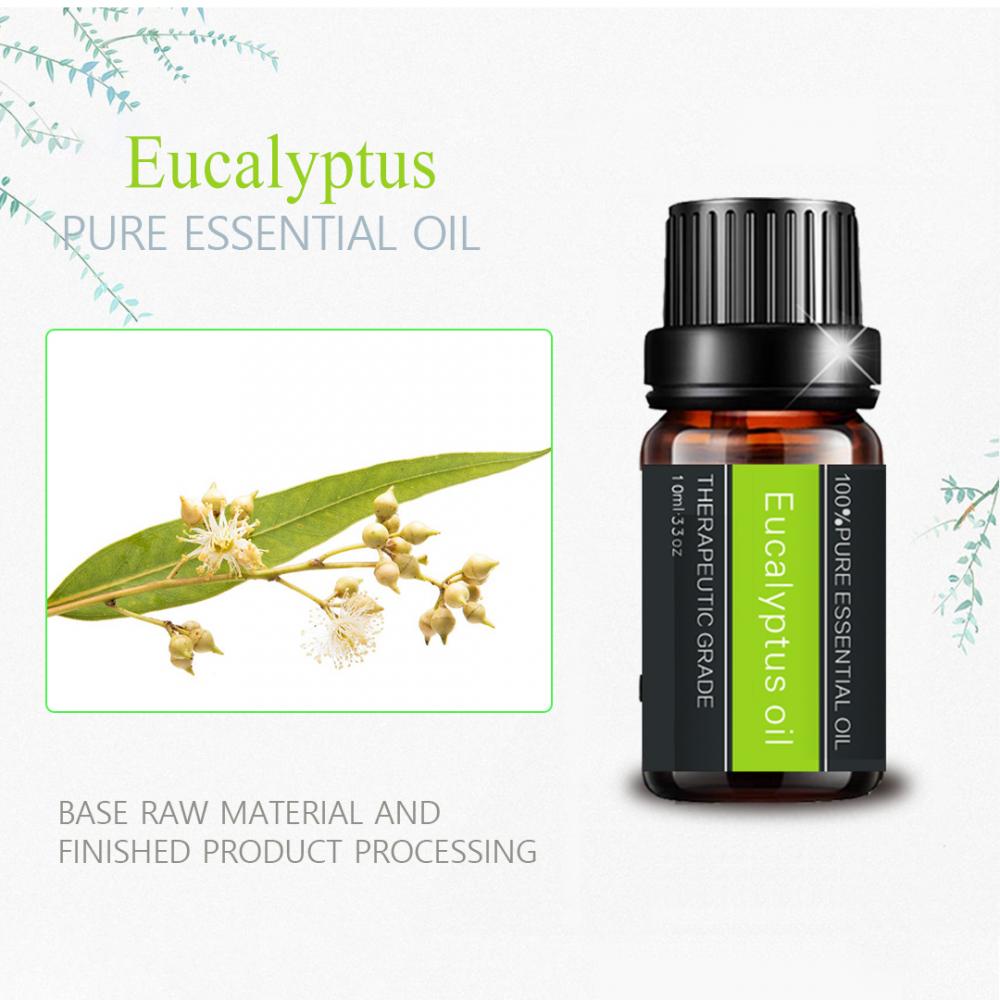 Étiquette privée 100% d&#39;huile essentielle d&#39;eucalyptus pur pour la peau