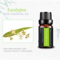 Private Label 100%Pure Eucalyptus Essential Oil for skin