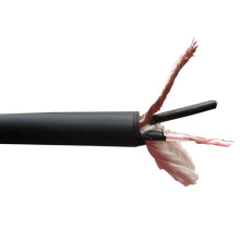 Bulk Microphone Cable?