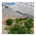 Hot Sale Light Deprivation Greenhouse Single SPAN kas te koop