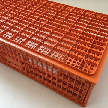 Agrieso Chicken Broiler Transport Cages - Animal Cages for Poultry Farm Equipment