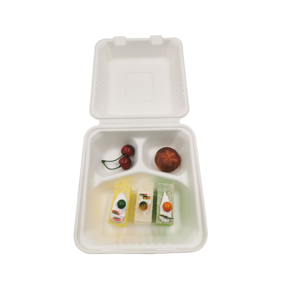 Bagasse Tray