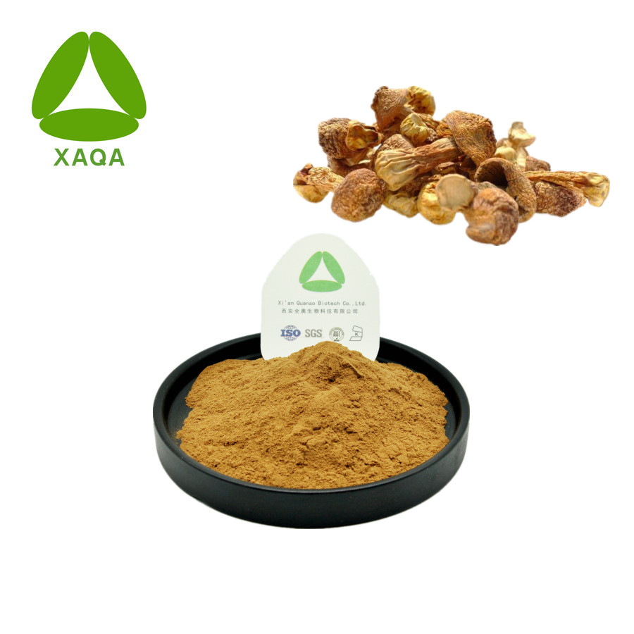 Agaricus Blazei Murill Mushroom Extract Powder