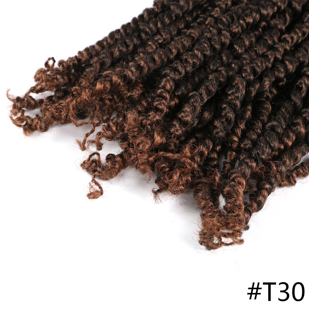 Passion Twist Braids Xtwo Crochet Braiding Hair Synthetic Crochet Hair Extensions High Temperature Fiber Braiding Hair For Women