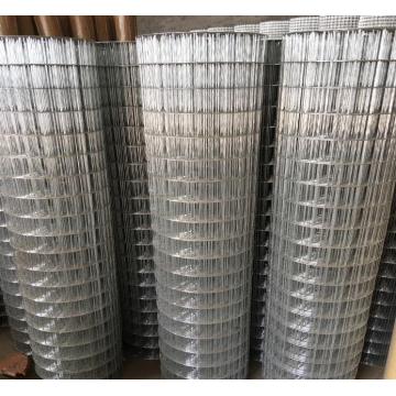 Sangkar Burung Stainless Steel Galvanis Welded Wire Mesh