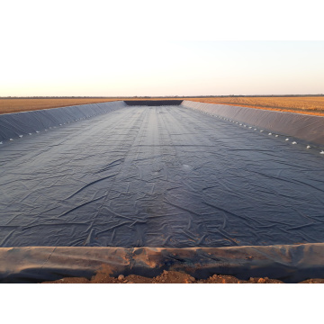 Géomembrane étanche à membrane en plastique en plastique