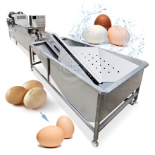 Egg Washing Machine: Clean and Efficient Egg Cleaning Solutions