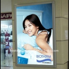 poster and pull up banner